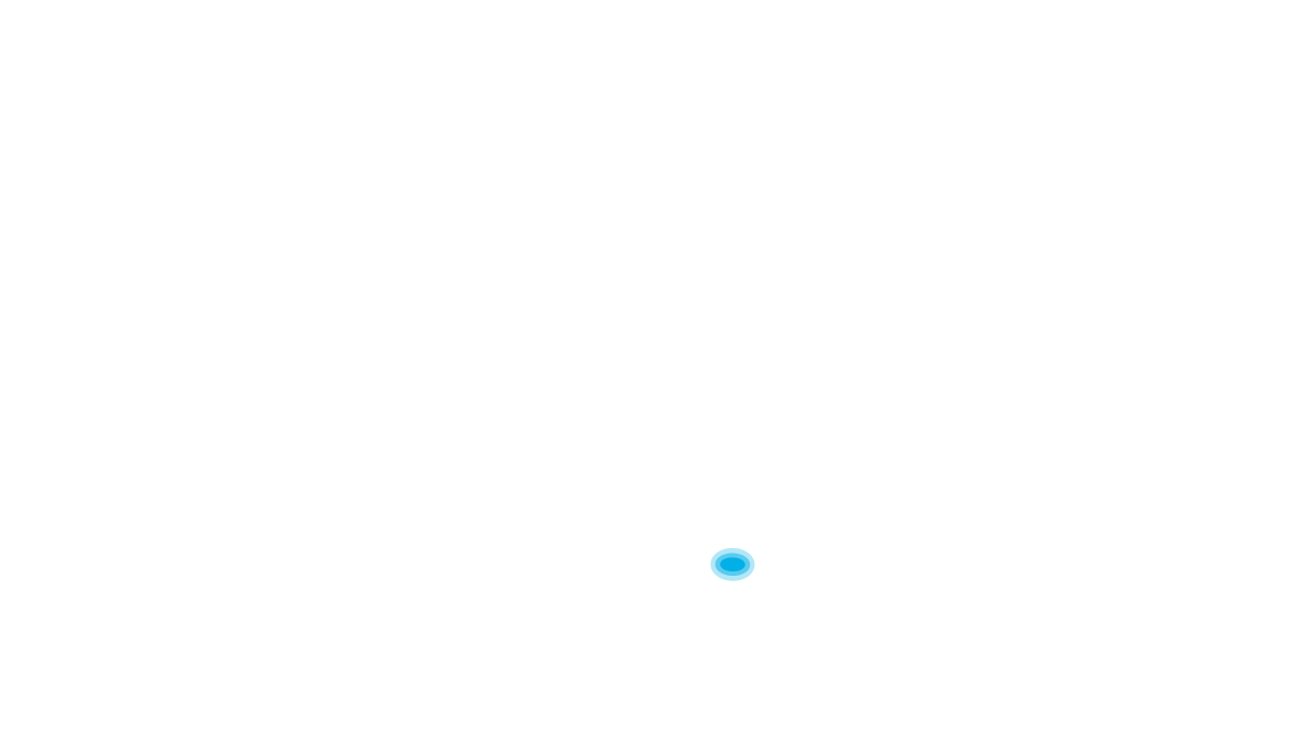 Zebra Chapmanova