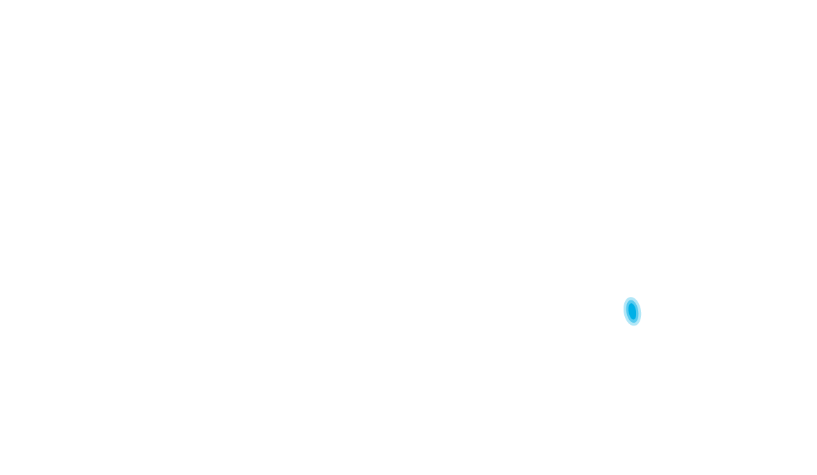 Siamang