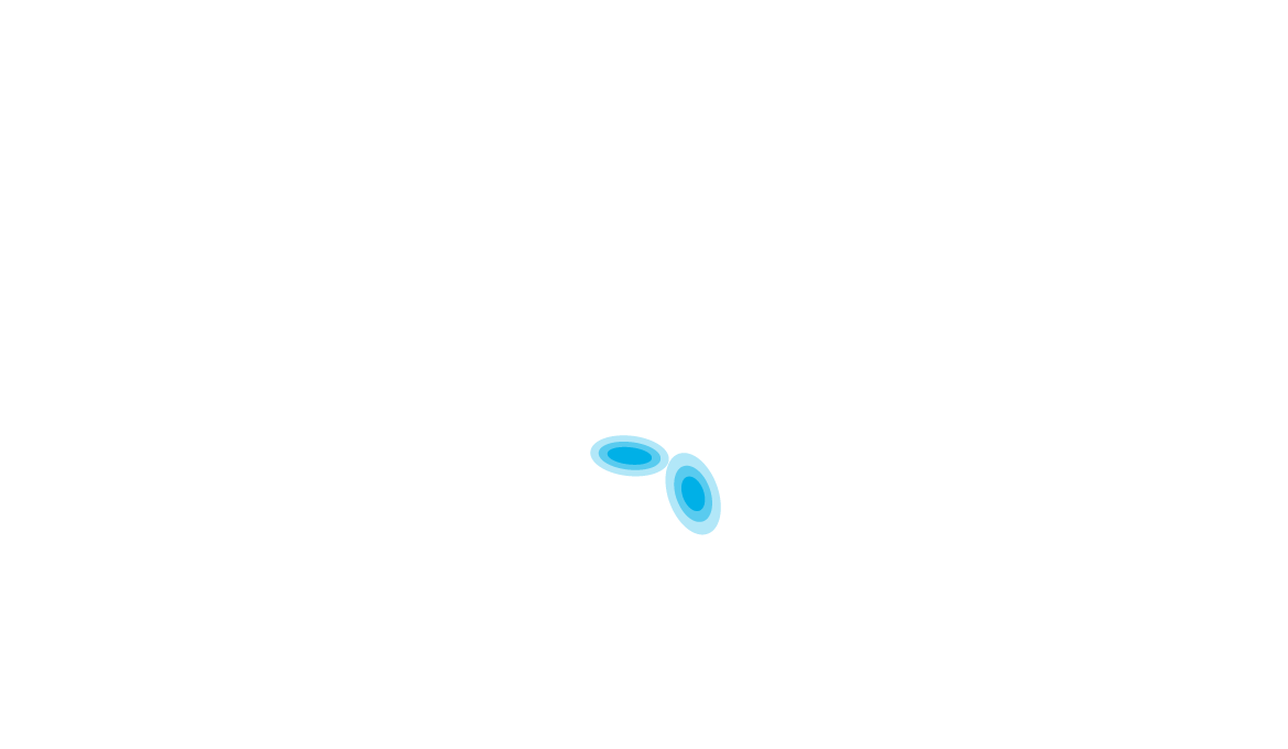 Štětkoun africký