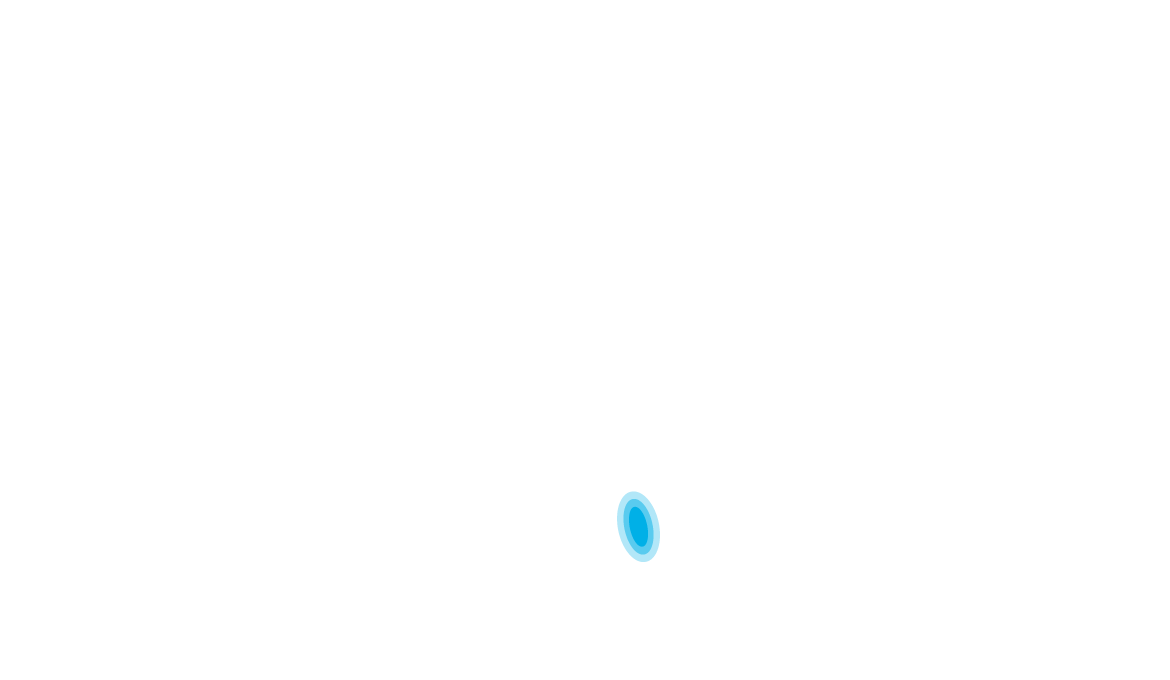 Surikata