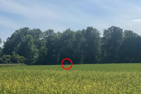 PŘÍBĚH SE ŠŤASTNÝM KONCEM-NANDU PAMPOVÝ