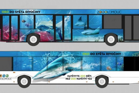 Z AUTOBUSU VYPLAVAL ŽRALOK