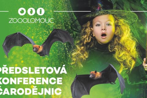 PŘEDSLETOVÁ KONFERENCE ČARODĚJNIC