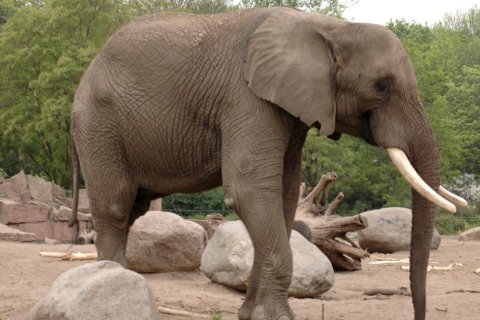 S vysloužilým oblečením do Zoo Olomouc