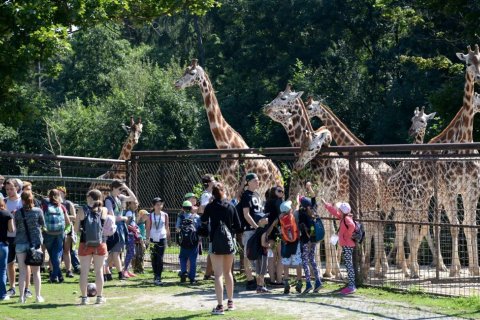 PŘÍMĚSTSKÉ TÁBORY V ZOO OLOMOUC