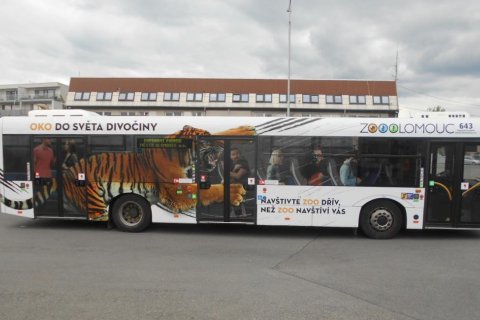 Nový autobus