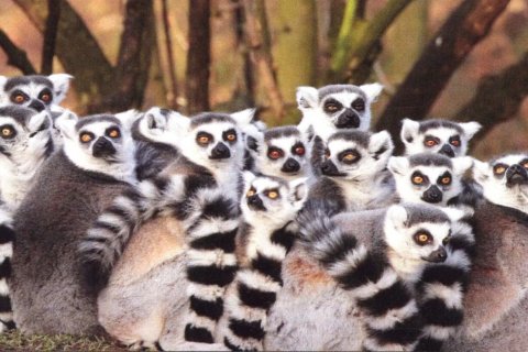 ZOOINVENTURA - VYHODNOCENÍ SOUTĚŽE