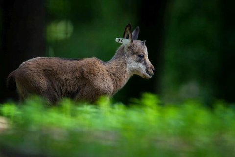 Fotosoutěž - vyhodnocení