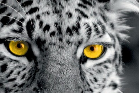Zoo Olomouc rok za rokem