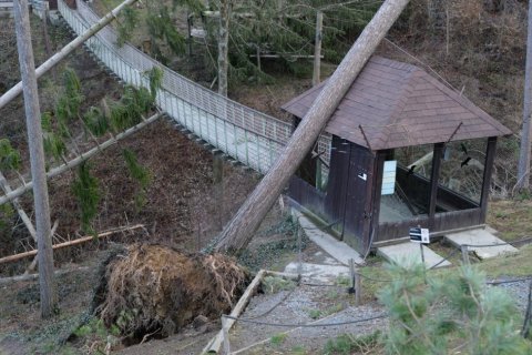 ZOO JE PO VICHŘICI OPĚT OTEVŘENA