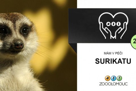 Podpořte naši zoo