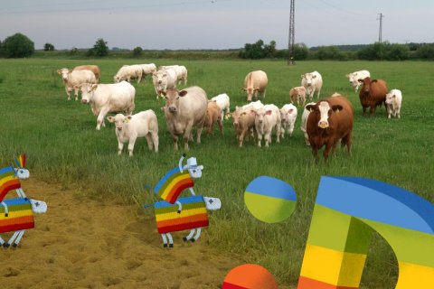 Sežeňte ovečky