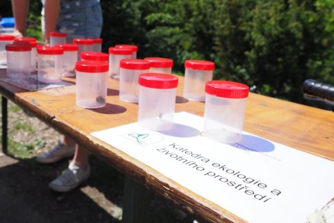 MEZINÁRODNÍ DEN BIODIVERZITY