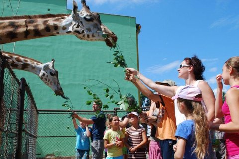 Příměstské tábory v Zoo Olomouc