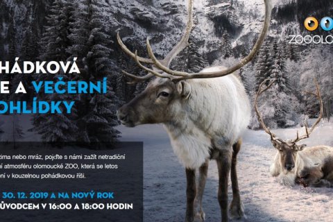 POHÁDKOVÁ ŘÍŠE A VEČERNÍ PROHLÍDKY