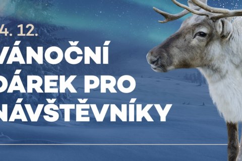 VÁNOČNÍ DÁREK PRO NÁVŠTĚVNÍKY