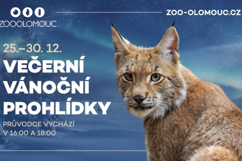 VEČERNÍ VÁNOČNÍ PROHLÍDKY