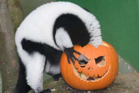 Ohlédnutí za večerem duchů