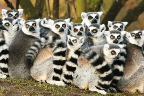 Soutěž zooinventura