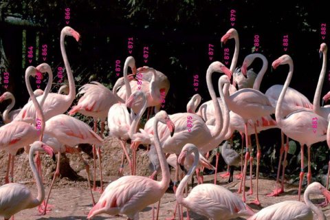 Zooinventura vyhodnocení soutěže