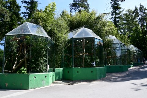 Pavilon opic