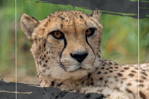 ZOO OLOMOUC ROK ZA ROKEM