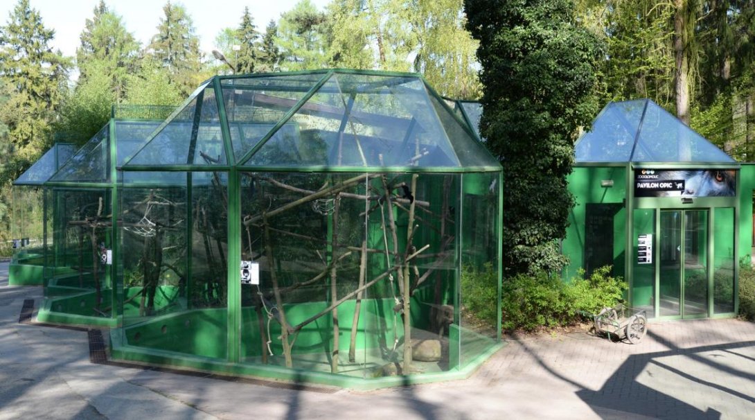 Pavilon opic